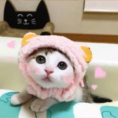 �ȳ�����ͷ��һ��һ��  ������������ĸ��