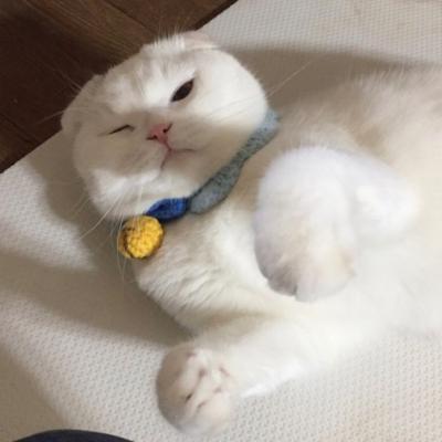 �ȳ�����ͷ��һ��һ��  ������������ĸ��