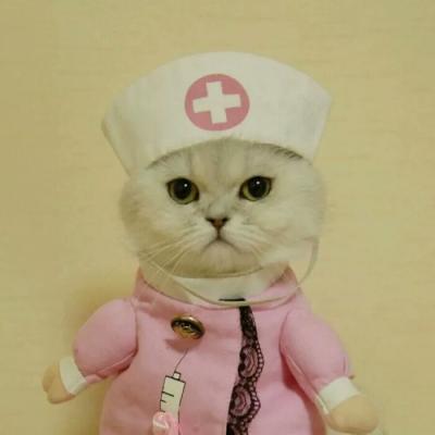 �ȳ�����ͷ��һ��һ��  ������������ĸ��