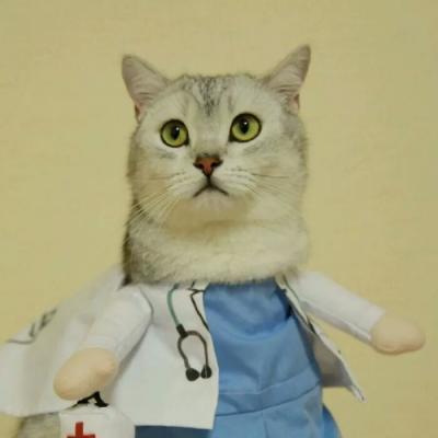 �ȳ�����ͷ��һ��һ��  ������������ĸ��