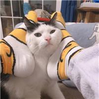 �ȳ�����ͷ��һ��һ��  ������������ĸ��