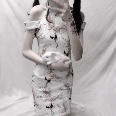 ʮ������黳�����ƣ������������������ǡ�