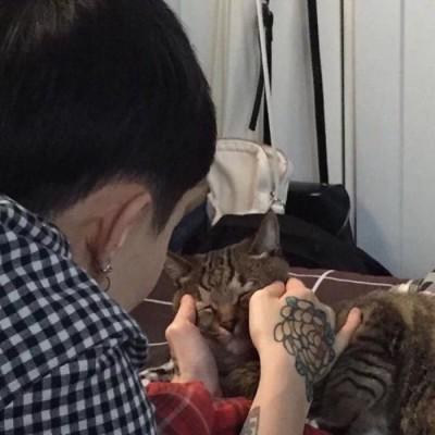 ����ͷ�� ��Ҫ������ �ܿ��� ʲô������ν