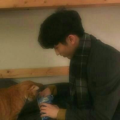 ����ͷ�������?