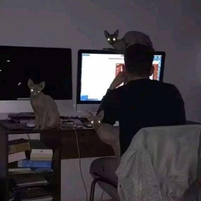 ��ʫ ����ͷ��/ԭ��/����