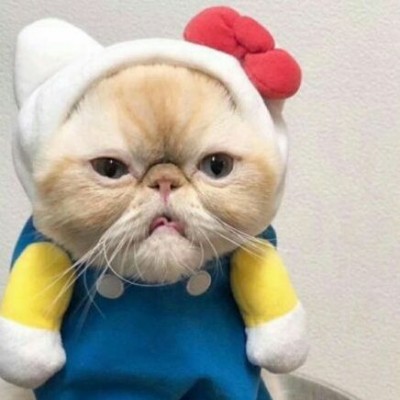 ����ͷ��һ��