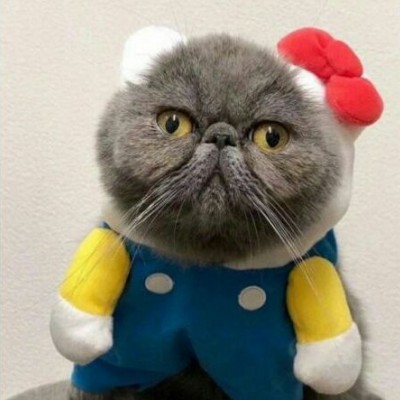 ����ͷ��һ��