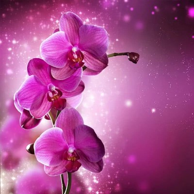 ʮ������ۣ���ͽȻ����ɽˮ֮�����븡��ɢ��