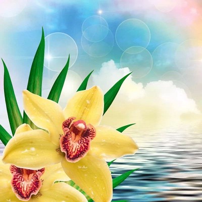 ʮ������ۣ���ͽȻ����ɽˮ֮�����븡��ɢ��