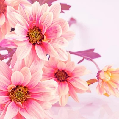 ʮ������ۣ���ͽȻ����ɽˮ֮�����븡��ɢ��