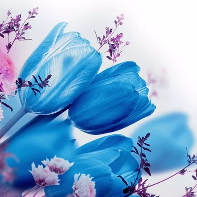 ʮ������ۣ���ͽȻ����ɽˮ֮�����븡��ɢ��