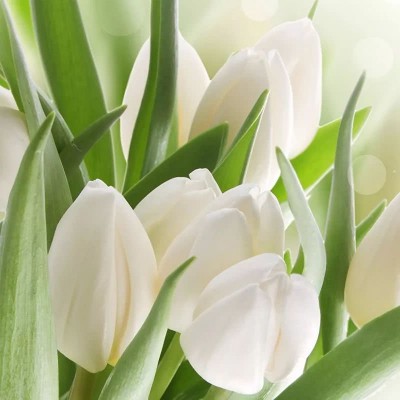 ʮ������ۣ���ͽȻ����ɽˮ֮�����븡��ɢ��