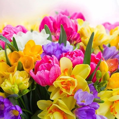 ʮ������ۣ���ͽȻ����ɽˮ֮�����븡��ɢ��