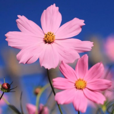 ʮ������ۣ���ͽȻ����ɽˮ֮�����븡��ɢ��