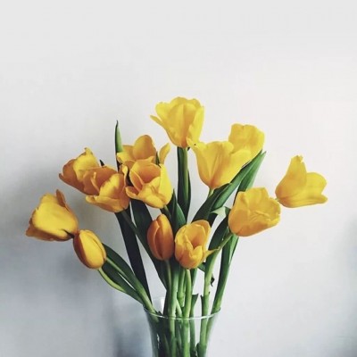 ʮ������ۣ���ͽȻ����ɽˮ֮�����븡��ɢ��