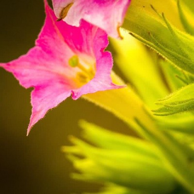 ʮ������ۣ���ͽȻ����ɽˮ֮�����븡��ɢ��