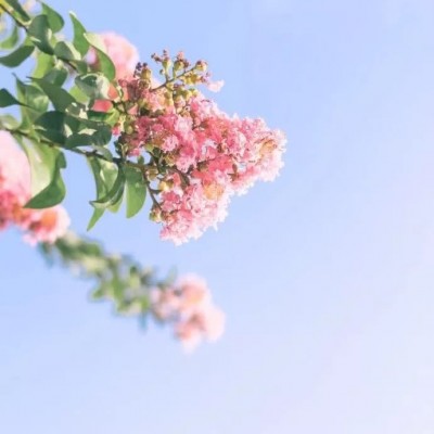 ʮ������ۣ���ͽȻ����ɽˮ֮�����븡��ɢ��