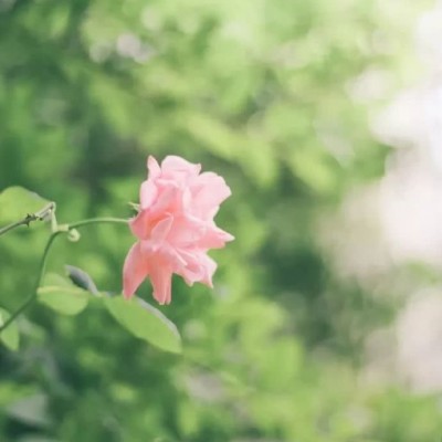 ʮ������ۣ���ͽȻ����ɽˮ֮�����븡��ɢ��