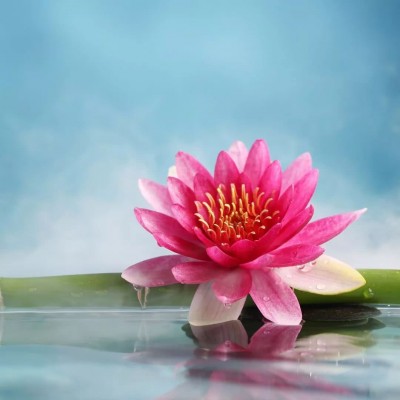 ʮ������ۣ���ͽȻ����ɽˮ֮�����븡��ɢ��