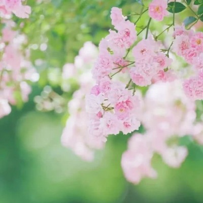 ʮ������ۣ���ͽȻ����ɽˮ֮�����븡��ɢ��