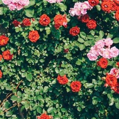 ʮ������ۣ���ͽȻ����ɽˮ֮�����븡��ɢ��