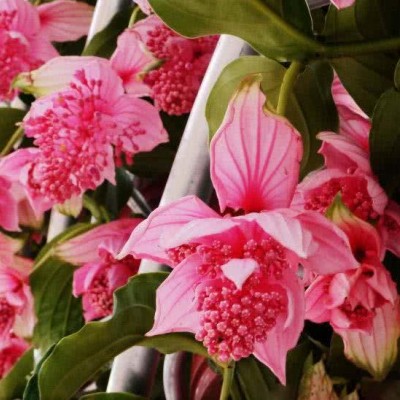 ʮ������ۣ���ͽȻ����ɽˮ֮�����븡��ɢ��