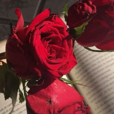 ʮ������ۣ���ͽȻ����ɽˮ֮�����븡��ɢ��