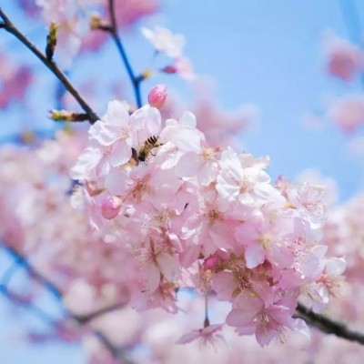 ʮ������ۣ���ͽȻ����ɽˮ֮�����븡��ɢ��