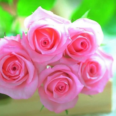 ʮ������ۣ���ͽȻ����ɽˮ֮�����븡��ɢ��