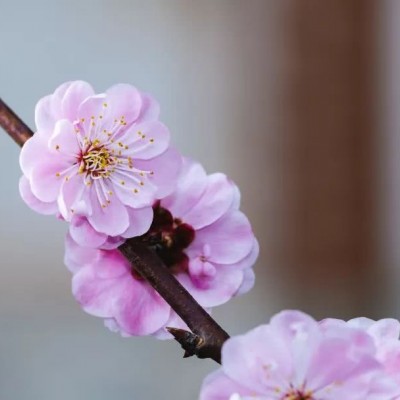 ʮ������ۣ���ͽȻ����ɽˮ֮�����븡��ɢ��