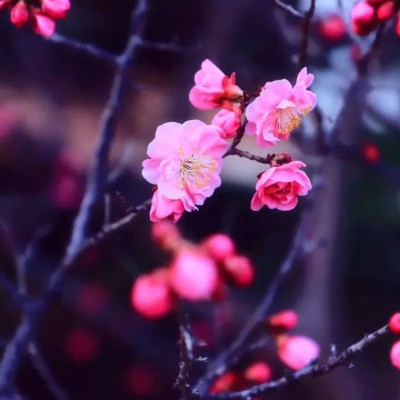 ʮ������ۣ���ͽȻ����ɽˮ֮�����븡��ɢ��