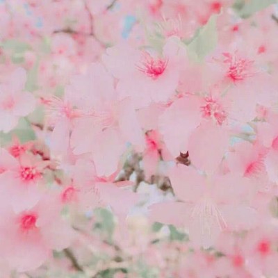 ʮ������ۣ���ͽȻ����ɽˮ֮�����븡��ɢ��