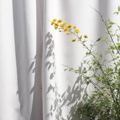 ΢��ͷ��羰����      ϫȾ��ĭ