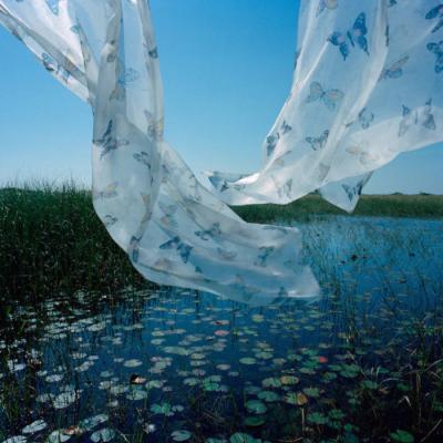 ΢��ͷ��羰����      ϫȾ��ĭ