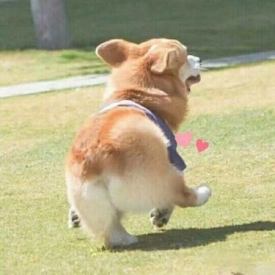 ľһ�����ͷ#