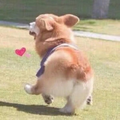 ľһ�����ͷ#