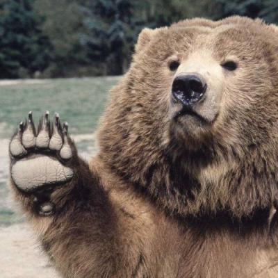 �����������Ӷ��ͷ��/�������