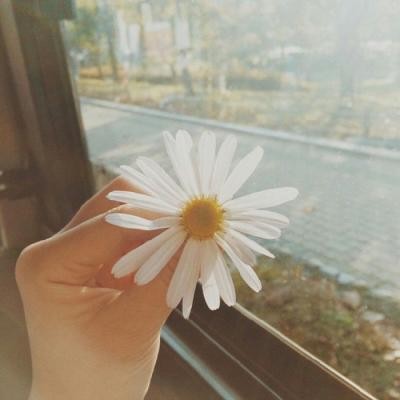 �����ֿտ�  ����������