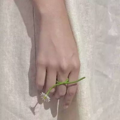 �����ֿտ�  ����������