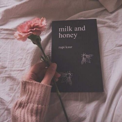 �����ֿտ�  ����������