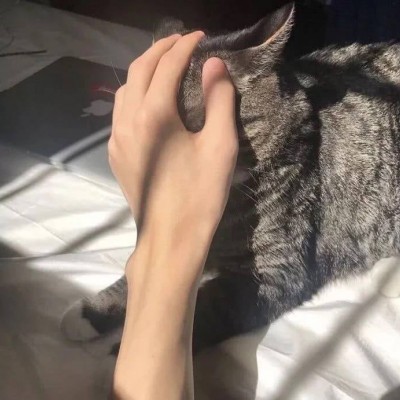 �����ֿտ�  ����������