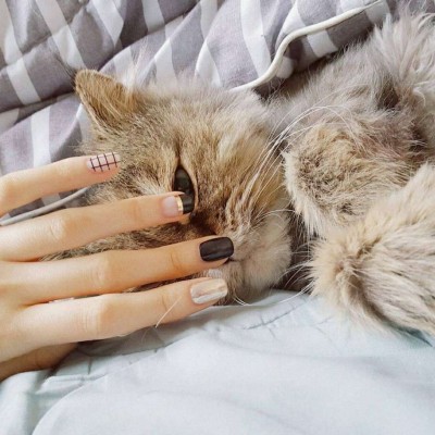 �����ֿտ�  ����������