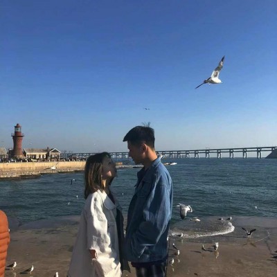 ���ϲ�� ����ƫ̻