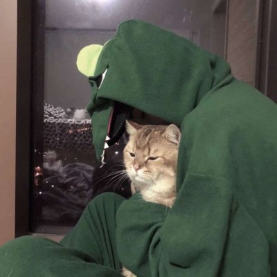 Ѱ��/2019���ʵ�����ͷ/������