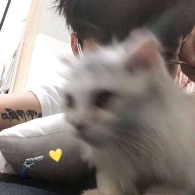 Ѱ��/2019���ʵ�����ͷ/������