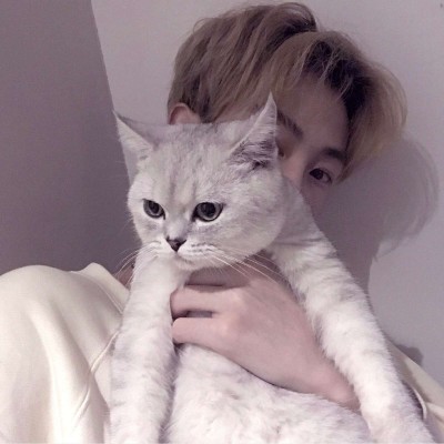 Ѱ��/2019���ʵ�����ͷ/������