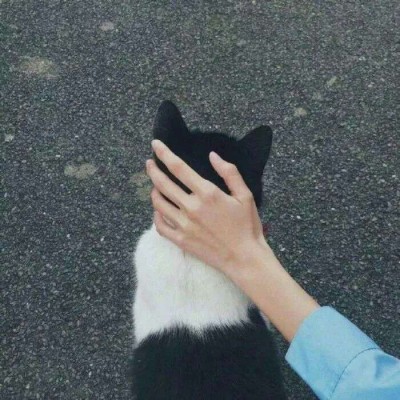 ΢��ͷ��ح�ֿ�ͷ��