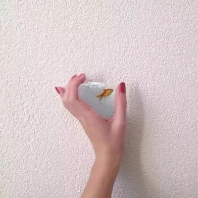 ΢��ͷ��ح�ֿ�ͷ��