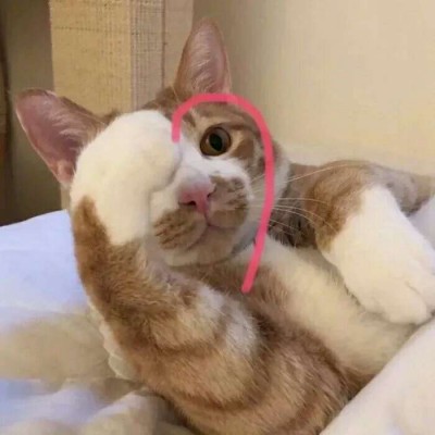 �Ҳ�ϲ�������磬��ֻϲ����