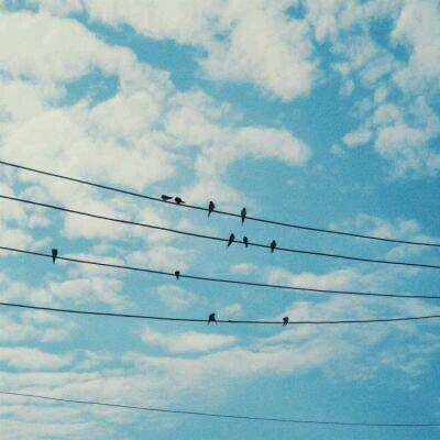 ������΢��Ψ���羰ͷ��/   ������չ������